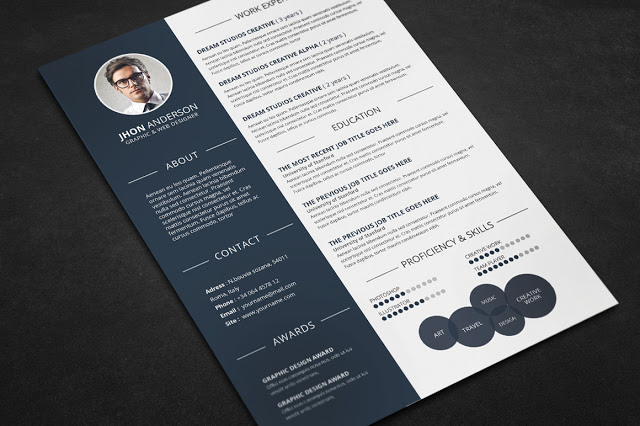 20  best resume template in 2015  u2013 graphicstoll